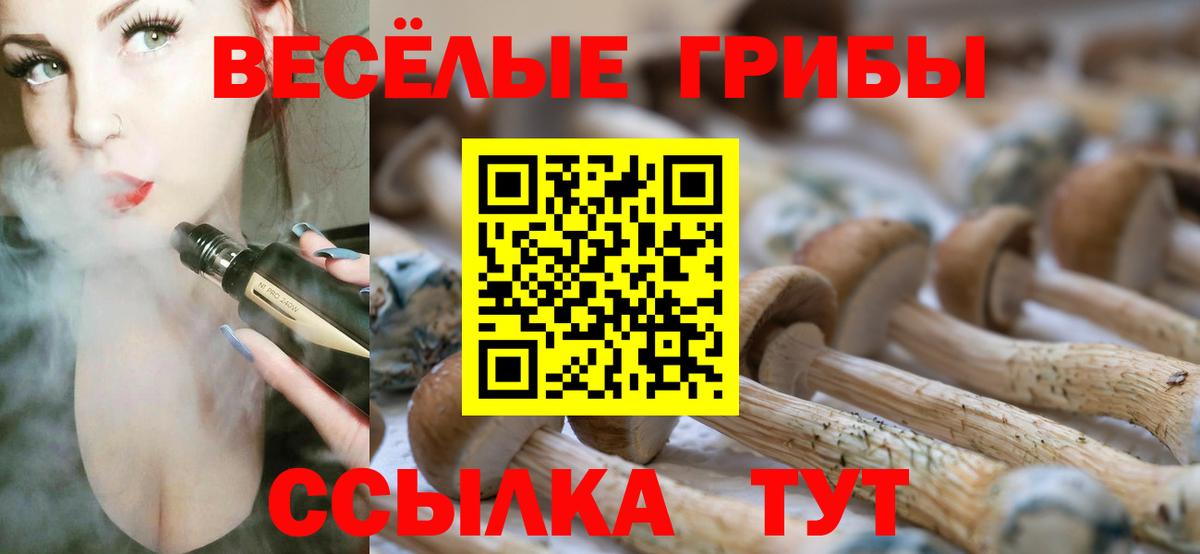 Псилоцибиновые грибы мицелий  купить  цена  Рузаевка  Галлюциногенные грибы MAGIC MUSHROOMS  Вход с VPN 